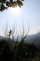 2010 07 13 jeanmarcperfetti.com 017.JPG